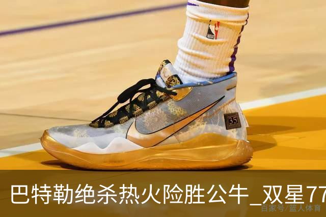 巴特勒绝杀热火险胜公牛 双星77分森林狼大胜